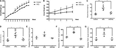 Role of Neuro-Immune Cross-Talk in the Anti-obesity Effect of Electro-Acupuncture